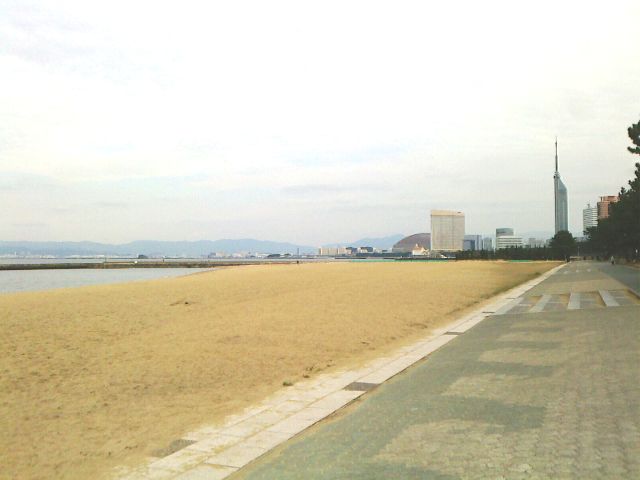 愛宕浜から見た福岡タワー