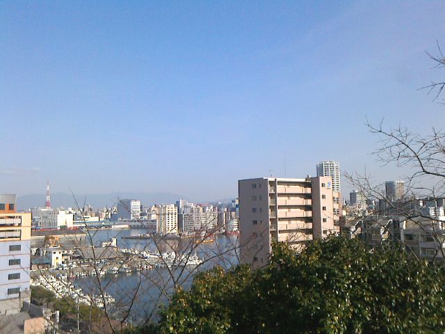 西公園から見た景色