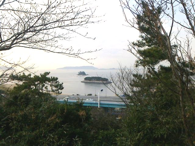 西公園から見た景色