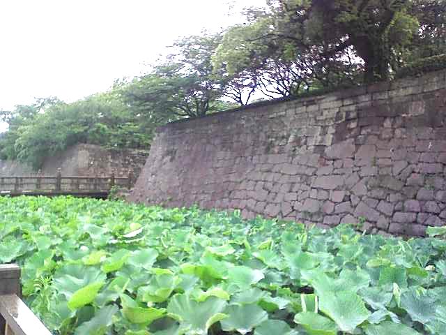 鶴丸城跡