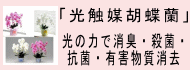 春の花粉対策商品 特集